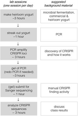 There’re CRISPRs in My Yogurt: A Discovery-Based CURE at the Intersection of Industrial Food Production and the Human Microbiome